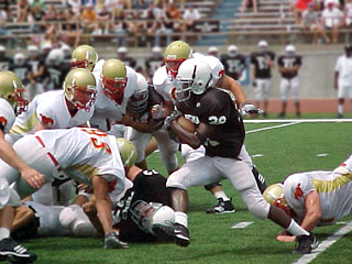 Photo by Terry Alan.  All Rights Reserved.